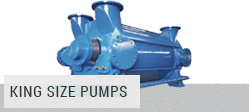 King-size vacuum pumps